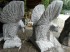 Adler Blaustein Limestone Höhe 20 cm