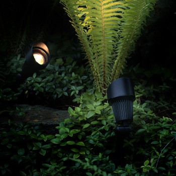 Garden Lights Focus Spot 12V
